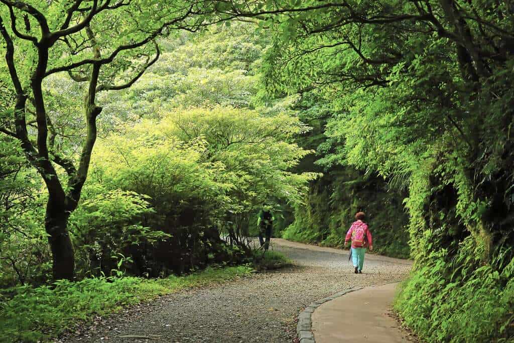 台北大縱走路段一：二子坪步道